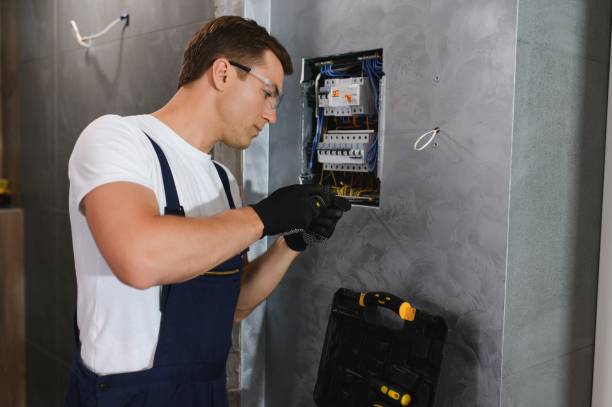 Best Electrical Repair Services  in Carrier Mls, IL