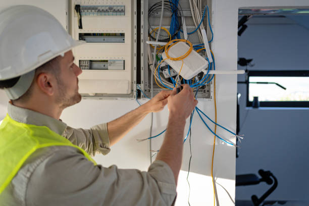Best Electrical Repair Services  in Carrier Mls, IL
