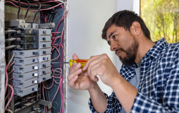 Industrial Electrical Services in Carrier Mills, IL